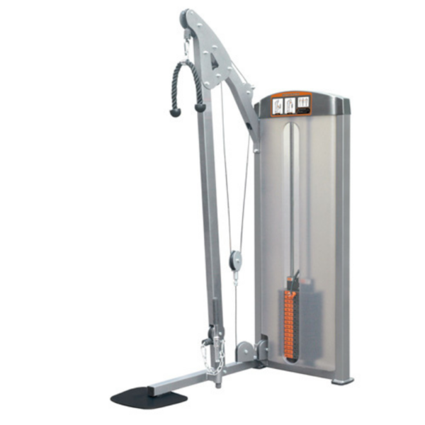 Impulse IF8 Bicep Triceps - 200lbs Product Image