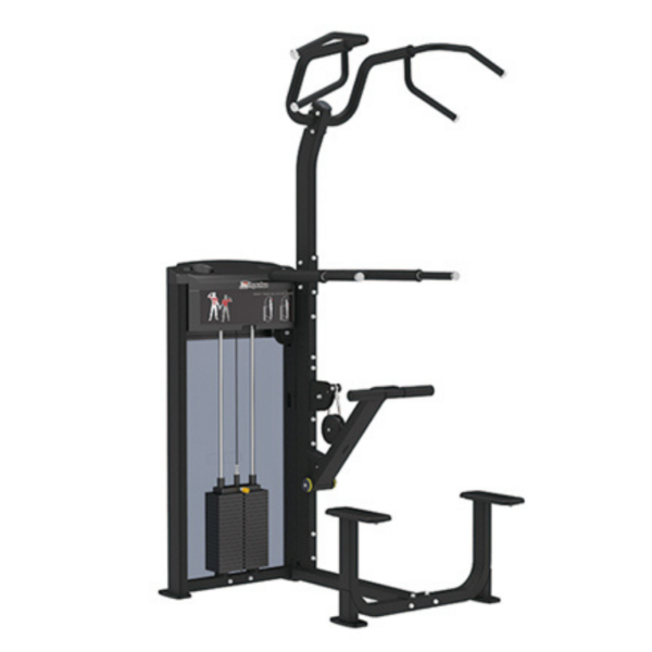 Impulse IF93 Assisted Chin Dip Combo Product Image