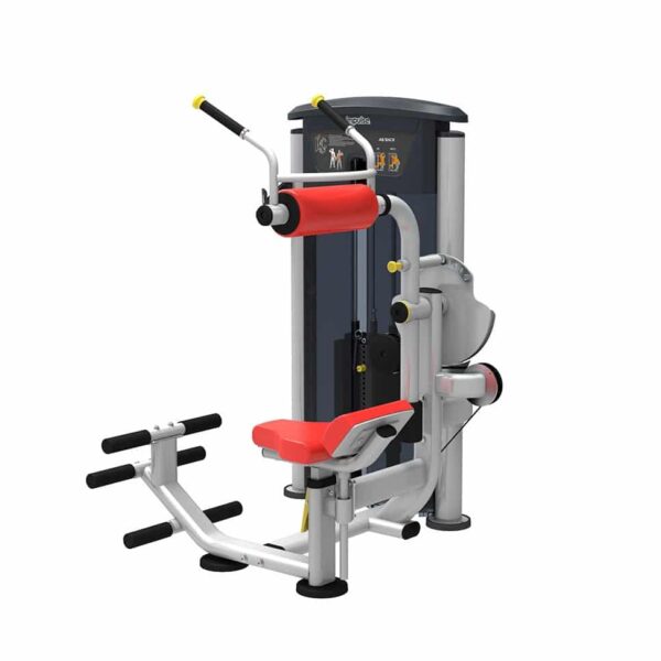 Impulse IT9534 Back Abs Product Image