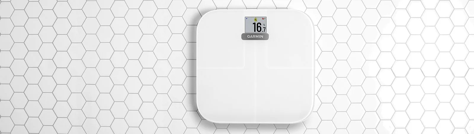 Index S2 b&w Scale image 3