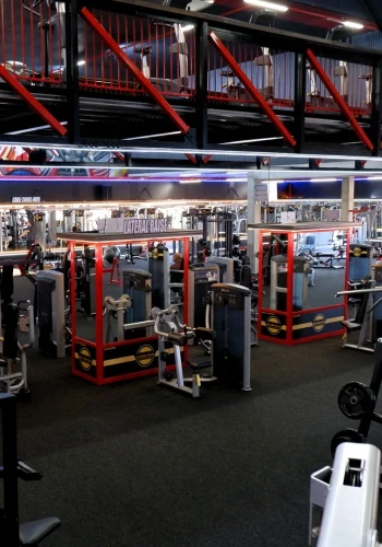 3d gym design reality